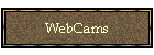 WebCams